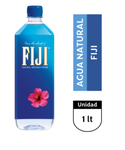 Fiji Water 1 Lt